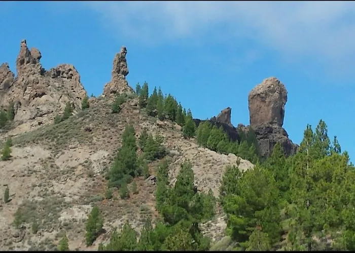 Piso Zona Mesa Y Lopez